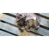 HYUNDAI SANTA FE KIA SPORTAGE SORENTO iX35 REAR DIFFERENTIAL HALDEX 2015 8558001 EGB165067 GB11A0088