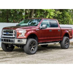 FORD F150 SUPER CREW PRO SERIES 3 STAINLESS NERF BARS 2009-2016 213800 NEW