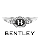 "Find Unbelievable Deals on Bentley Car Parts!"